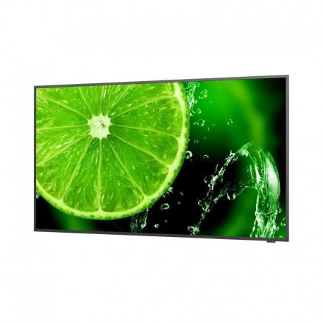 NEC MultiSync ® E658 