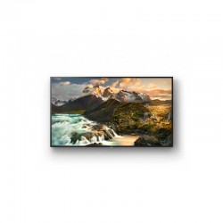 SONY FWD-100ZD9501 100'' Profesyonel Ekran