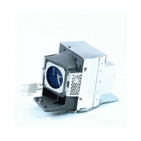 ACER MC.JH511.004 Projeksiyon Lambası